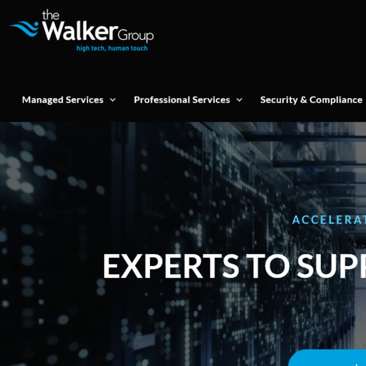 the walker group the walker group